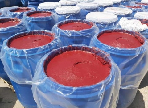 رب گوجه فرنگی اسپتیک با بسته‌ بندی بهداشتی و مقاوم